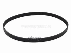 ������ ��������� Toyota Corolla (E120) 00-07 / RAV4 00-05 1ZZFE;3ZZFE Sat ���. 6PK1890 6PK1890 ����