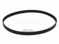 ������ ��������� Audi A4 00-15 / A5 07-16 Sat ���. 6PK2415 6PK2415 ����