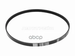 ������ ��������� Honda Accord 89-03 / Shuttle 95-00 6G74; �CG10DE; �CG12DE; �CGA3DE; �CR12DE Sat ���. 4PK1065 4PK1065 ����
