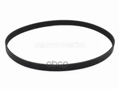 ������ ��������� Audi A4 08-15 / A5 07-16 Sat ���. 6PK1105 6PK1105 ����