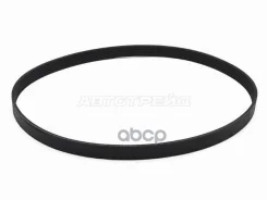 ������ ��������� Audi A6 04-10 / BMW 3-Series 90-00 Sat ���. 6PK1555 6PK1555 ����
