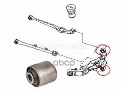 ����������� ������ Nissan AD 99-08 / Wingroad 99-05 Sat ���. ST-55501-WA201B ST55501WA201B ����