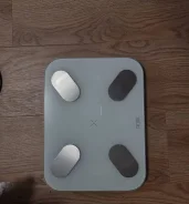 ���� ���������. ����