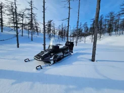 Yamaha Viking 540 III. ��������, ��, ��. ��� ����� �� ������������ ����