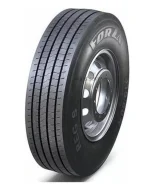 ���� Forza REG S