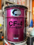 Castle. 10W-30, ����������������, 1��. ����