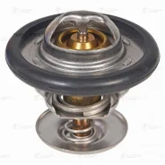 ��������� ��� �/� Ford Focus I (98-)/Mondeo I (93-)/Mondeo II (96-) (92��) (�������. ) (LT 1003) LT1003 ����