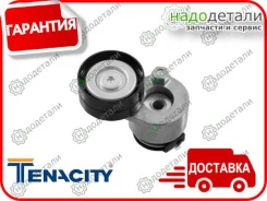 �������� ����� Tenacity (3157) Abtni1028 � ��������� � ��������� [Abtni1028] ABTNI1028 ����