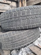 Dunlop Rover. ������, ��� �����, 2016 ���, �/�, ����� 50 % ����
