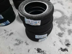 Vittos VSP06. ������, 2025 ���, ����� ����