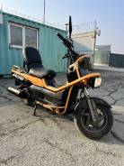 Honda PS 250 Big Ruckus