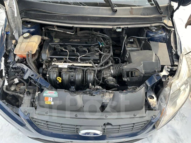 Ford Focus. QQDB ����