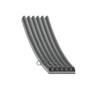 ������ ���������� Blue Print ���. AD06R1042 AD06R1042 ����