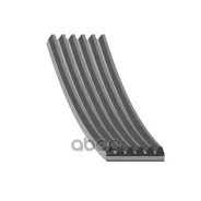 ������ ���������� Blue Print ���. AD06R1705 AD06R1705 ����