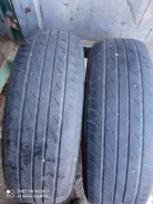 Nexen Classe Premiere 671. ������, �/�, ����� 50 % ����