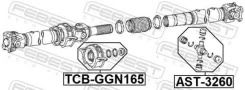 ��������� ��������� ���������� ���� TCBGGN165 ����