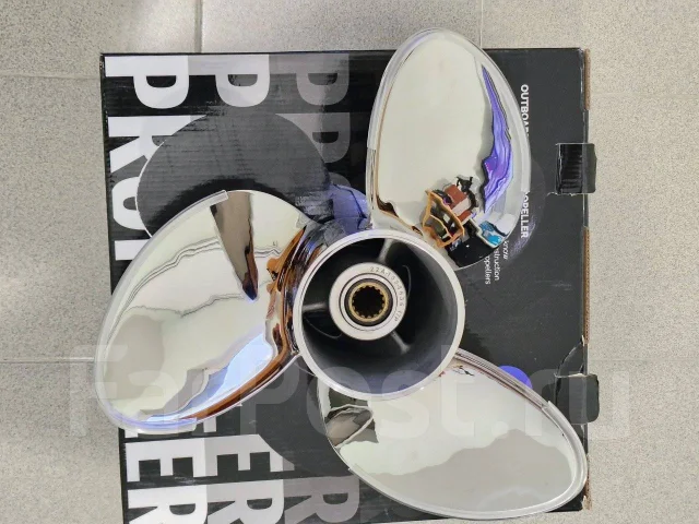 ����� �������. ����