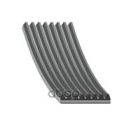   8Pk1914 Febi . 45573 45573 