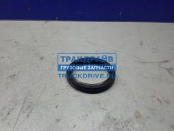    ZF      55x70x8  Euroricambi 95534790 95534790 