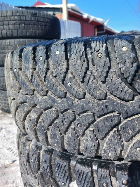 Cordiant Sno-Max. ������, ����������, �/�, ����� 15 % ����