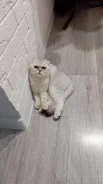���������� �����. ����
