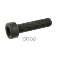 ���� �����������! ��������� �������� M14x1.5 L=60 G10.9 MB Atego LK OM904/906/924/926 Febi ���. 24612 24612 ����