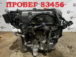 ��������� Honda Accord 2008 K24A ����