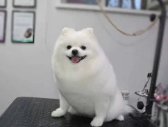 ����. ����