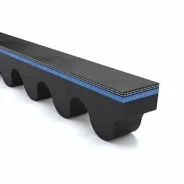 ������ �������� RAW-EDGE / 5570 � �������� 5570 ����
