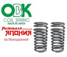 ������� OBK (���������) / Toyota Voxy, Noah (Japan) OBK �������� C4T-28332H, C4T-28332, 48231-28B60, 48231-28C30 ����
