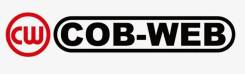       COB-WEB 113170 (SF317/073040C) COB-WEB 113170 113170 