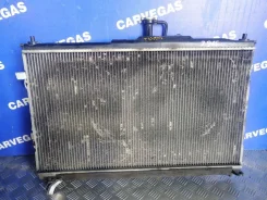 �������� �������� Hyundai Grand Starex I (2007�2015) 253104H100 ����