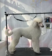 ������. ����