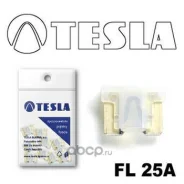 �������������� 25� Tesla ��������� ���� Tesla FL25A10 FL25A10 ����