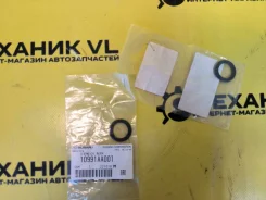 ������ �������������� ���������� ������ 10991AA001 Subaru 10991AA001 ����