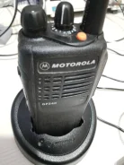 �����. ����