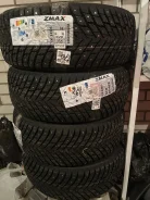 ZMax Winternova Stud II. ������, ����������, 2024 ���, ����� ����