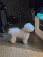����� �����. ����