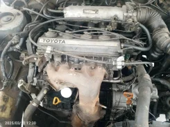 ��������� 4S fe ������ 1900074300 ����