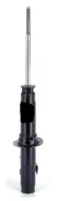 ������ JETT V31-217R (341138) JETT V31-217R V31217R ����