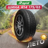 Rapid P309. ������, 2024 ���, ����� ����