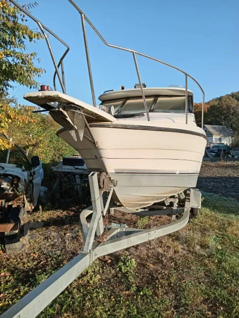 Bayliner. 1997 ���, ����� 6,5��., ��������� ������������, ������ ����
