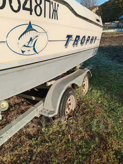 Bayliner. 1997 ���, ����� 6,5��., ��������� ������������, ������ ����