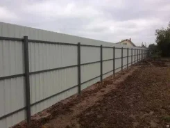 ������������ �������. ����