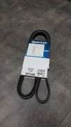 ������ ������������ ������ M51 E36, E34, E39 [5PK1815] Dayco 5PK1815 5PK1815 ����