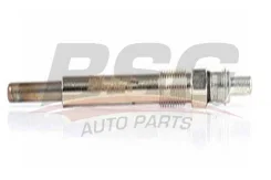 ����� ������ Peugeot bsg70870004 BSG BSG70870004 ����