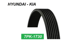 ������ [��������� +����� +���] 1730�� Hyundai - KIA 252124A011 252124A011 ����