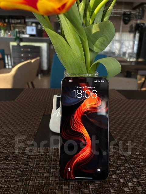 Apple iPhone 15 Pro Max. �/�, 256 ��, �������, 4G LTE, Dual-SIM ����