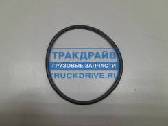    ZF 16S151 824  DAF 2159392 2159392 