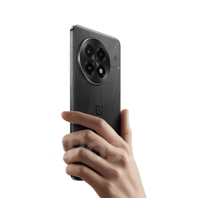 OnePlus 13. �����, 512 ��, ������. ��� ����� �� ������������ ����